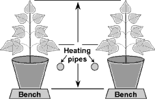 position of heating pipes